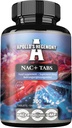 APOLLO'S HEGEMONY NAC+ 150 mg - N-asetyyli-L-kysteiini- ja artisokkauute, 300 vegaanista tablettia, 1200 tarjoilua, Aminohapon ravintolisä, tukee detoxia ja maksan terveyttä