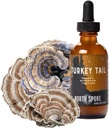 North Spore Organic Turkey Tail Tincture 