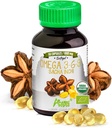Andes Sacha Inchi Capsules (Plukenetia volubilis) - lähde Omega 3, 6, 9 kanssa Essential rasvahapot - Odorless & kestävästi hankittu - aivojen toiminnan tukija - 60 Softgel pillereitä (1000 mg)