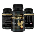 Gallobiootti Natural Multivitamiini Rooster, Hens - 100 tablettia