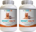 Koiran virtsarakko tuki - koiran virtsanterveys Formula - auttaa inkontinenssi ja rakko kysymyksiä - Immuno Boost - koiran karpalo täydennysosa pureskella - 2 pulloa (180 hoitoa)