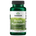 Swanson Reishi Mushroom Immuunitoiminta Mood Support 600 Milligrammaa 60 kapselia