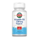 Kal 250 Mg Niacin Tabletit, 100