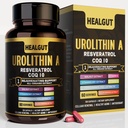 9-in-1 Urolithin A Supplement for Women Anti-Aging 1000mg: Antioksidantti kapselit Trans-Resveratrol ja CoQ10 - USA Lab todennettu tuki Terve ikääntyminen ja solujen uudistuminen