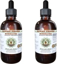 Echinacea Alcoal-Free Liquid Extract, Echinacea (Echinacea Angustifolia) Kuivattu juuri Glycerite Havaiji Pharm Natural Herbal Supplement 2x4 oz