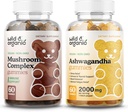 Luonnonvaraiset ja luomusieni Gummies & Ashwagandha Gummies