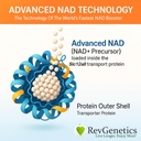 REVGENETICS Advanced NAD+ Supplement, 60 kapselia - Ravintolisä tervettä ikääntymistä ja pitkäikäisyyttä
