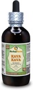 Kava Kava (Piper Methysticum) Glyseriitti, kuivattu juuri alkoholiton nesteuute (Brandin nimi: HerbalTerra, ylpeästi valmistettu Yhdysvalloissa) 4 fl.oz (120 ml)