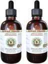 American Ginseng Alcoal-Free Liquid Extract, Ginseng (Panax Quinquefolius) Kuivattu juuri Glycerite Havaiji Pharm Natural Herbal Supplement 2x4 oz
