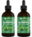 360 Nutrition klorofylli Liquid Drops with Piparminttuöljy, GF & Vegan Body Internal Deodorant Supplement, tukee Gut Health, Digestion, energia, Radiantti iho, nopea imeytyminen (4 Fl Oz (2 kreivi))