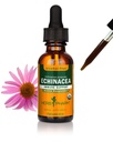 Herb Pharm Organic Echinacea Root Extract, Alkoholiton: Immuunijärjestelmän tuki kaikille vuodenajoille, Nopeasti toimiva Echinacea Plant Supplement, Ei-GMO, Vegan & Gluteeniton, 1 Oz