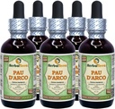 PAU d'arco (Tabebuia Impetiginosa) Glyseriitti, kuivattu Bark alkoholiton nesteuute (Brandin nimi: HerbalTerra, ylpeästi valmistettu Yhdysvalloissa) 5x2 fl.oz (5x60 ml)