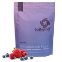 Perätuuli Ravitsemus Endurance Fuel, Carbohydraatti ja Electrolyte Sports Drink Mix Powder, Gluteeniton, Vegaani, Berry, 50 tarjoilua