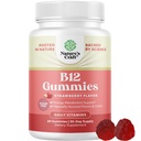 B12-vitamiini Gummies for Aikuinen - Sokeriton B12 1000 mikrog purukumit energia & mielialatuki Immuunit ja hermot Terveys - Kosher ei-GMO & Gluteeniton täydentää naisille ja miehille - 60