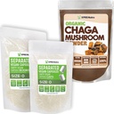 XPRS Nutra Erillinen koko 0 kapselia (1000 kreivi) Chaga-jauheella (8 ounce)