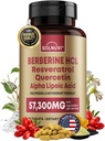 Premium berberiini täydentää Resveratrol Quercetin Alpha Lipoic Acid - 50:1 Berberiini HCl Complex Potent Antioksidantteja, polyfenolit, Vitality Boost - 90 Vegan Tabletit, ei-GMO, Gluteenittomat
