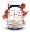 Nootropics Depot Cistanche Superkriittinen CO2 Extract kapselit .. 20% Echinacoside + 20% Verbascoside (Asetosidi) 60