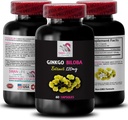 Yrttiuutejauhe - GINkgO BILOBA EXTRACT - Ginkgo biloba -uute edut, yrttiuute, Ginkgo biloba -kasviuute, Ginkgo biloba -lisä, kasviperäinen antioksidantti 1 pullo 60 kapselia