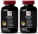 Päivittäinen energia - RESVERATROL Complex - Berry Blend, Hydraation Balance, Tehokas antioksidantteja, luonnollisia ainesosia, Noni teho, marja edut, ravitsemustuki, virkistävä Maku 2 pullot 120 Caps