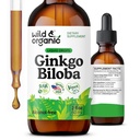 Wild & Organic Ginkgo Biloba Tincture - Brain & Focus Support Ginkgo Leaf täydennysosa - Vegaani, sokeri ja alkoholiton yrttiuute Tincture - 2 fl oz