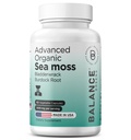 Organic Irish Sea Moss, Blackderwrack & Burdock juuri täydentää 1405mg, 60 Veg kapselit - Immuuni Booster, Gut Health, Skin Detox & Joint Support (60 Count (pakkaus 1))