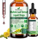 Mullein Drops for Lungs, Organic Mullein Leaf Extract for Lung Detox w. klorofylli Elderberry Oil Resveratrol Mullein Tincture Alcohol Free, Original Flavor, 2 f Fl/Oz