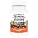 Isäntäpuolustus hengitys * Kapselit - Immuuneja ja hengitysteitä tuki sieni täydentää - Herbal Lung Health täydentää Chaga, Reishi & Cordyceps - 30 kapselia (15 tarjoilua) *