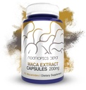 Maca Extract kapselit ... 5% Macamidit... Lepidium meyenii... Mieliala, energia ja elinkyky... 60