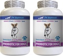 Ruoansulatuskanavan lisäravinteet - PROBIOTICS koirille - Terve Gut - Stop kaasuripuli ja paha hengitys - Ruoansulatuskanavan Boost - Dog probiootit Bad Breath - 2 pullot (120 hoitoja)