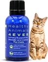 HA4E - Cat UTI Remedy - Luonnollinen munuaistuki kissalle - Tukee virtsarakon ja virtsan terveyttä - Munuaisten puhdistus - ei-GMO, Orgaaninen, Kemiallinen vapaa - 300 Tabletit