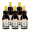 Virallinen jakelija - 5 pullot Apiario Silvestre Brasilialainen Green Bee Propolis Liquid Glycolic Extract-Non alkoholiton, vahaton, sokeriton (PG)