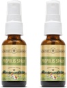Honey Gardens Bee Propolis Chroat Spray 