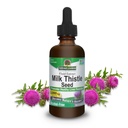 Nature's Vastaus Maito Thistle 2 Ounce Extract - Alkoholiton, Ei GMO, Maksan tuki täydentää kaikille - Maksa Detox, Valmistettu USA