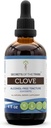 Tribe Clove Tincture Alcohol-Free Liquid Extract, Clove (Syzygium Arocolum) Kuivattu kukka Buds (4 FL OZ)
