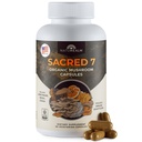 Naturealm Sacred 7 Organic Mushroom Extract kapselit - Premium 7 Sientä täydentää Lions Mane, Reishi, Chaga - USDA Organic Immuuni tuki & Focus - 90 kasvissyöjä kapselit