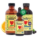 CHILDLLIFE OLENNAISET Immuunituki 3-Pack - nestemäinen C-vitamiini, ensimmäinen puolustus, ja Echinacea - Immuuneja lisäravinteet lapsille, pikkulapsille ja lapsille