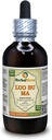 Luo Bu Ma, Dogbane (Apocynum Venetum) Tincture, kuivattu Leaf Liquid Extract (Brandin nimi: HerbalTerra, ylpeästi valmistettu Yhdysvalloissa) 4 fl.oz (120 ml)