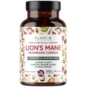 Kasvi.O Premium Lion's Mane Supplement, All Natural Nootropic Brain Supplement, 5 Sieni Complex 