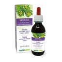 Naturalma Rhodiola rosea (Sedum roseum) Juuri Alkoholiton Tincture - 4 fl oz Liquid Extract tippa - Herbal Supplement - Vegan