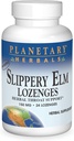 Planetaarinen kasvillisuus Slippery Elm Lozenges, Herbal Kurkku tuki, 24 Lozenge