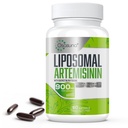900 mg Liposomal Artemisinia maksimaalista imeytymistä varten, makea Wormwood-uute [Artemisia Annua], jossa on Quercetin Phytosome 200 mg, 60 Softgelia - 2 kuukautta