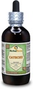 Catechu (Acacia Catechu) Glyseriitti, kuivattu yrtti alkoholiton nesteuute (Brandin nimi: HerbalTerra, ylpeänä valmistettu Yhdysvalloissa) 4 fl.oz (120 ml)