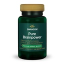 Swanson Pure Brainpower Brain Health Kognitive Memory Focus Support Brain-Derved Neurotrophic Factor (BDNF) Herbal Supplement (Ginkgo Biloba, Bacopa Monnieri) 60 Vegan