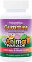 NaturesPlus Animal Parade Lähde Life Gummies - Natural Orange, Grape and Cherry Flavors - 75 Animal Shaped Gummies - Koko ruoka lasten monivitamiini - Gluteeniton - 37 Tarjoilu