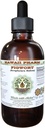 Figwort alkoholiton nesteuute, orgaaninen figwort (Scrophulara Nodosa) Kuivattu yrtti Glycerite Havaiji Pharm Natural Herbal Supplement 2 oz