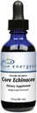 Core Echinacea 2