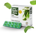 Dabur Pudin Hara Pearls - Päivittäinen digestiivinen hoito täydentää miesten ja naisten, auttaa Abate oireita turvotus, happoisuus, ilmavaivat ja ruoansulatushäiriöt ruoansulatuskanavan ja ruoansulatuskanavan ruoansulatuskanavan, 400 luku (Pack of 40)