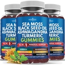 Sea Moss Gummies, Sea Moss, Black Seed, Ashwagandha, Turmeric, Manuka Honey, ACV, Voikukka, Black Pepper, Black Pepper, Blackdock, Black Wrack, Vegan- 180 Count