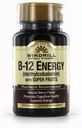 Tuulimylly B-12-vitamiini Energia Super Fruits tabletteja 100 Ea