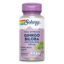 SOLARAY Ginkgo Biloba Extract kanssa Gotu Kola - Ginko Biloba kapselit aivojen terveystuki - Vegan, Lab todennettu, 60 päivän takuu - 60 palvelinta, 60 VegCaps (30 VegCaps)